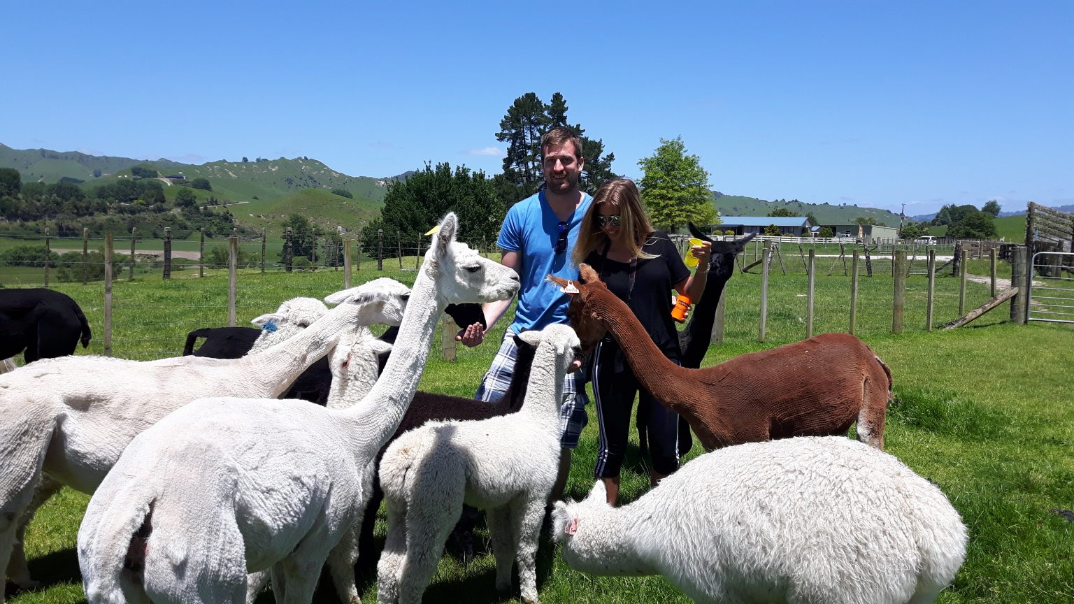 Work & Travel Jobs finden im Ausland Entdecker Blog
