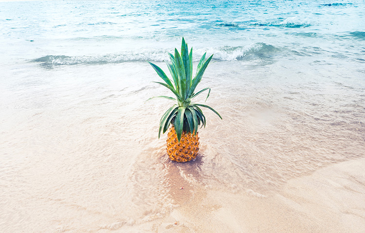 Eine Ananas im Meer
